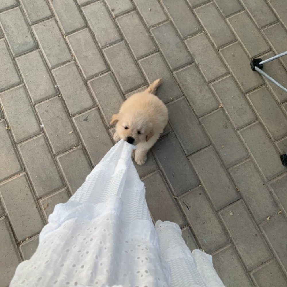 Meet your Posher, Lorina